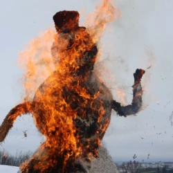 Snowman actively burning engulfed in flame at snowman burning event.