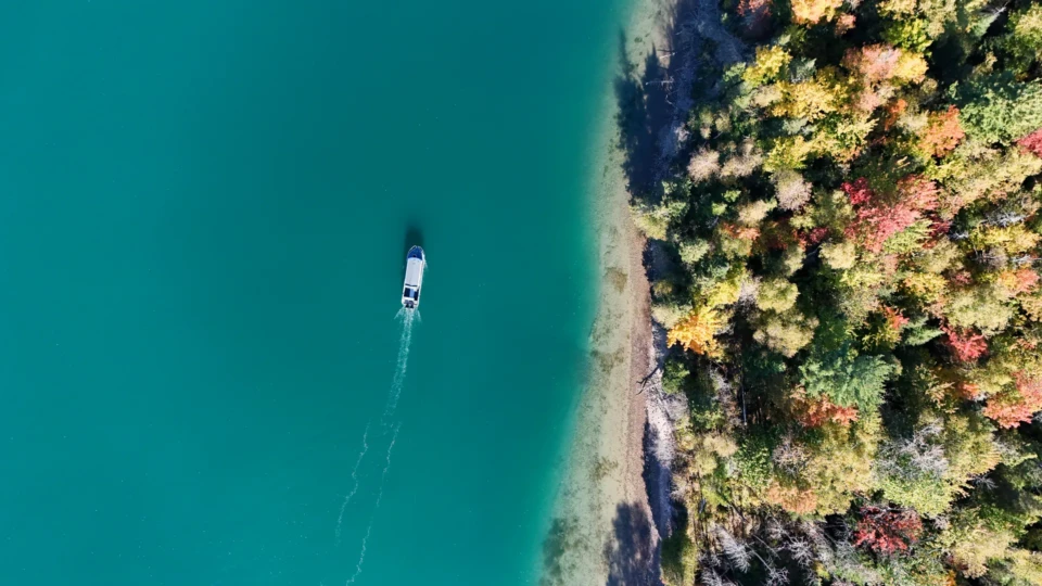 Drone image of boat on water next to forest-covered shore.